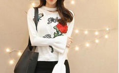 东方帅哥寻乐论坛